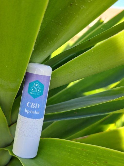 Baume pour les lèvres avec 10% CBD