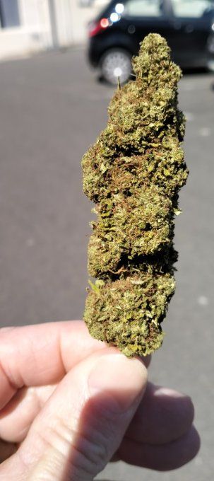 SKUNK