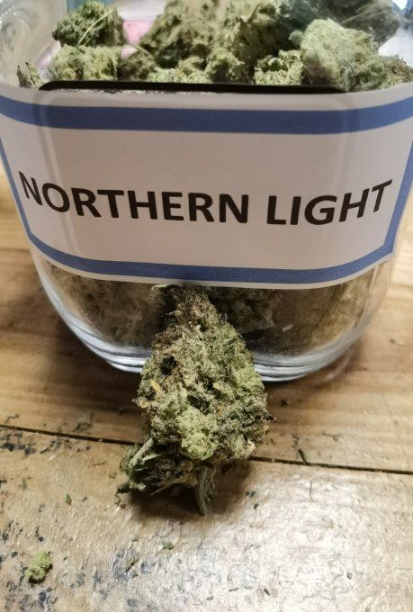 NORTHERN LIGHT