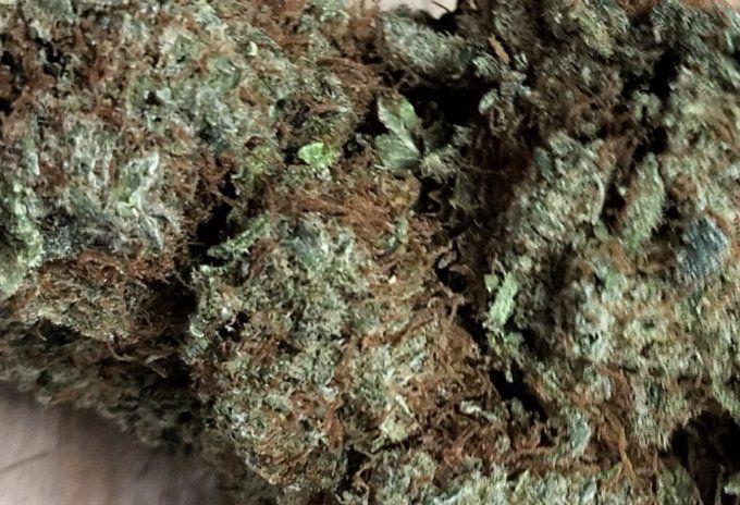 ICE KUSH