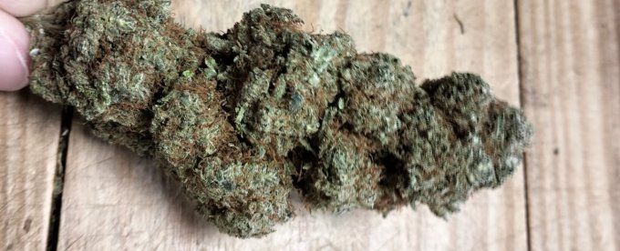ICE KUSH