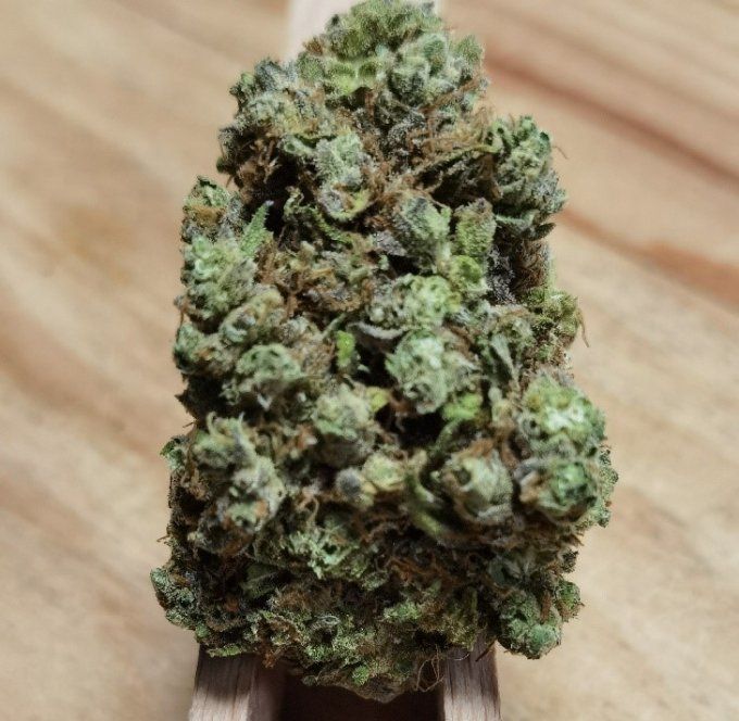 AMNESIA US HYDROPONIE  5€/G disponible de 1 à 50G