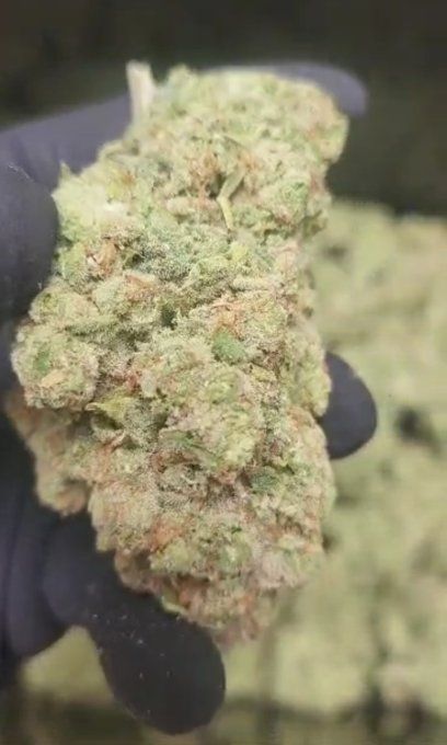SUPER LEMON FREEZ DRY 