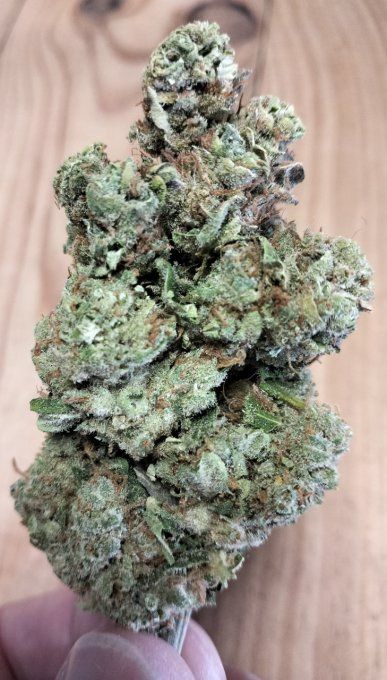 SUPER LEMEON HAZE HYDRO