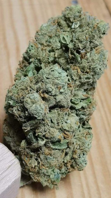 WHITE WIDOW HYDROPONIE  5€/G disponible de 1 à 50G